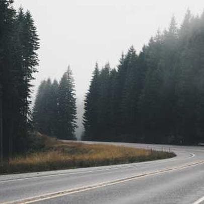 gallery img